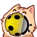 🐞 emoji YJBeetle的奇怪贴纸 Telegram sticker 17 of 29