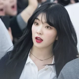 Sticker from *🌿┊Irene Bae @O1WUSTENFUCHS ೃ ‧₊˚*