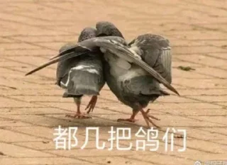 Sticker from 亚博四平台招代理 @zy9598
