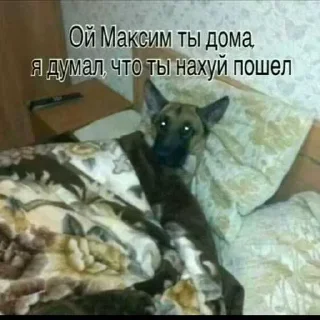 😁 emoji Больше мими @tphart Telegram sticker 22 of 23