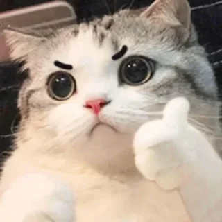👍 emoji Aayush's kang pack Telegram sticker 10 of 59