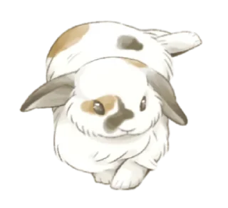 🐈 emoji ⋆ Taremimi rabbit mix! ࿈ 𖡻 @petiteyeux Telegram sticker 16 of 40