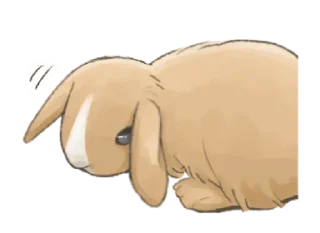 🐇 emoji ⋆ Taremimi rabbit mix! ࿈ 𖡻 @petiteyeux Telegram sticker 8 of 40