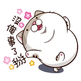 😺 emoji 肖阿咪 1 中字&國際版 🐾 @StickerPlay_meow Telegram sticker 16 of 75