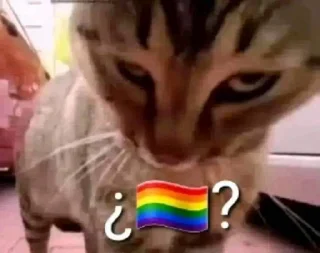 🌈 emoji Internet Meme's 3 (@CalsiBot) Telegram sticker 24 of 50