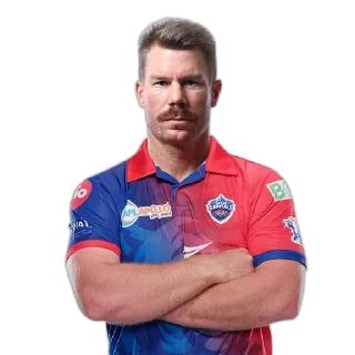 Sticker from Delhi Capitals @IPLFansKerala