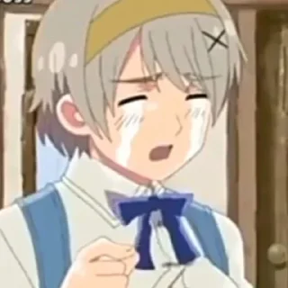 🧺 emoji Ukraine🇺🇦 || Hetalia @Ch0colert Telegram sticker 1 of 16