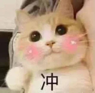 ✊ emoji 早睡早起身体好 @GD_LM Telegram sticker 10 of 70