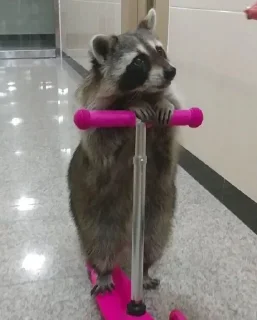 😩 emoji gak tau @trashkeluarga Telegram sticker 9 of 62
