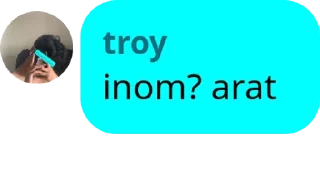 Sticker from stix ni troy