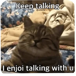 🐱 emoji @CheaterZahid cat&doge pack Telegram sticker 14 of 55