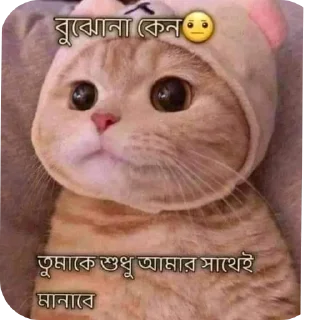 Sticker from @CheaterZahid cat&doge pack