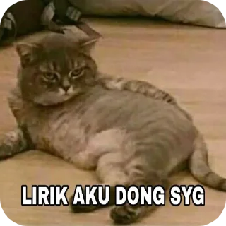 🐱 emoji jamet @arukastiker Telegram sticker 18 of 41