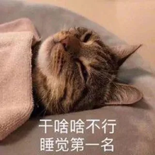 😴 emoji 兔几爱萝卜 Telegram sticker 19 of 120