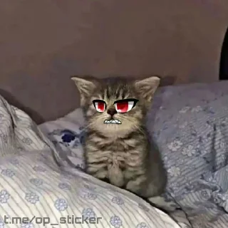 😡 emoji Tom star😾:: @op_sticker Telegram sticker 18 of 47