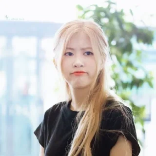 Sticker from rosé，by @roleplayersticker