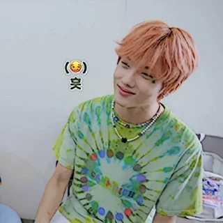 🐹 emoji JISUNG ◡̈ @SONGVYUQIC Telegram sticker 14 of 32