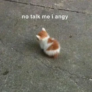 🐱 emoji Cats and dogs Telegram sticker 20 of 65