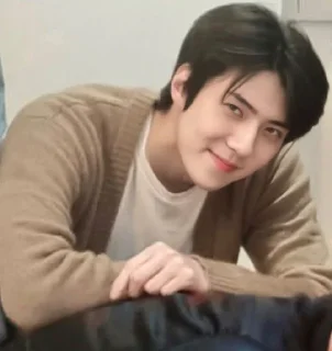 👍 emoji Sehun Telegram sticker 6 of 31