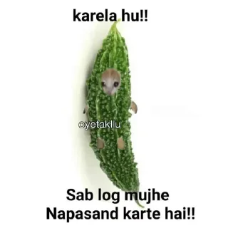 😸 emoji Mujhe Kya mai to || @Z_sukuna Telegram sticker 21 of 24