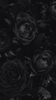 🖤 emoji BLACK AESTHETICS 🖤 @aestheticpicsuwu Telegram sticker 6 of 40