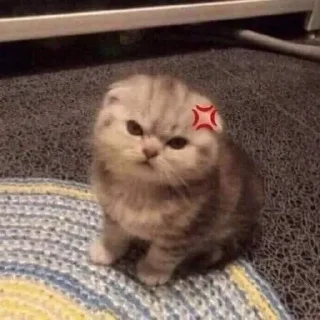 😡 emoji @themosthandsomegirl Telegram sticker 5 of 100