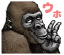 ✌ emoji Gorilla gorilla @stickerscar Telegram sticker 11 of 40