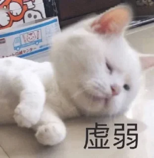 🔅 emoji 沙雕🔆表情分享→ @stickerscook Telegram sticker 7 of 47