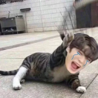 😭 emoji ᥀𖦹 ੈhumor twt by @stickernct ୭̥ ！៹𖤐 Telegram sticker 17 of 106