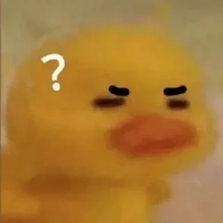 🤨 emoji stupid duck Telegram sticker 2 of 9