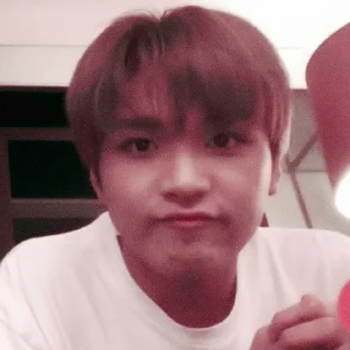 🐻 emoji haechan soft @stickernct Telegram sticker 8 of 33