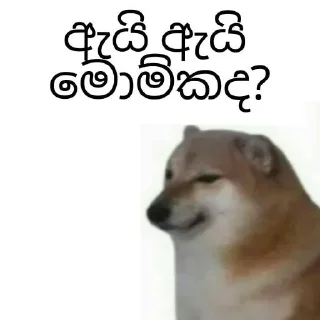 😂 emoji Cheems Sinhala Version by @HARP_Tech 🇱🇰 Telegram sticker 5 of 7