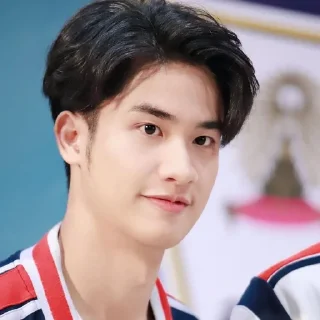 🗿 emoji 【Tay Tawan】— 🦅🗞 `s. @KOCOKNDASE Telegram sticker 17 of 50