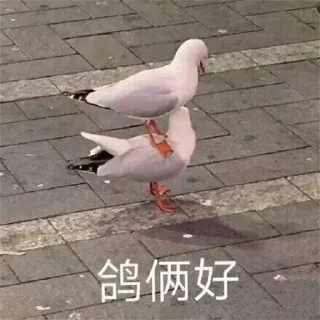 😁 emoji 表情包 @BQBVIP Telegram sticker 24 of 86