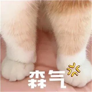 🌈 emoji 彩虹CDN服务器 @caihongyyds Telegram sticker 23 of 96