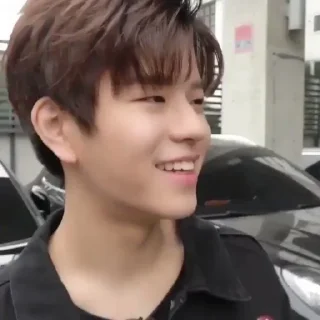 🐶 emoji StrayKids's Seungmin by @L0STARIESS Telegram sticker 2 of 35