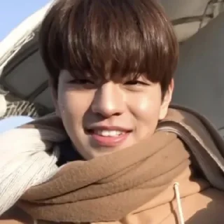 🐶 emoji StrayKids's Seungmin by @L0STARIESS Telegram sticker 17 of 35