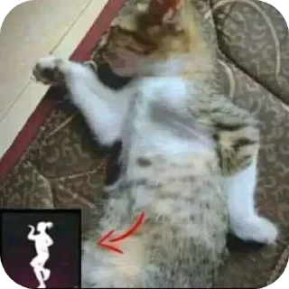 Sticker from gua (Rajash)