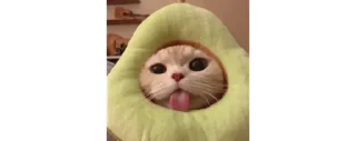 😛 emoji Ty @prstimrt • @anjaspakeks Telegram sticker 8 of 25