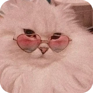 😝 emoji Meow ...o_O. Telegram sticker 23 of 53