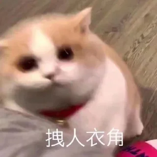 🥶 emoji 小菜的沙雕图包5 @CrcEsy Telegram sticker 21 of 120