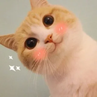 🌟 emoji Sy***💜 Telegram sticker 13 of 29