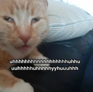 😾 emoji random shits Telegram sticker 10 of 78