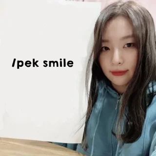 😼 emoji seulgi mager ngetik - @PIYYARRYJIN Telegram sticker 24 of 48