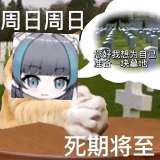 Sticker from 超级柴郡二@NyankoNyankoNyaaNyaa