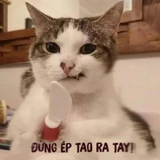 😐 emoji Meme của Mít @mitdot247 Telegram sticker 5 of 77