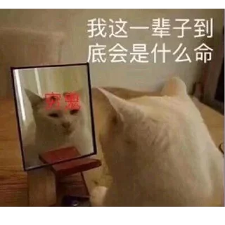 🤣 emoji 橘子家水果 @juzijia Telegram sticker 22 of 89