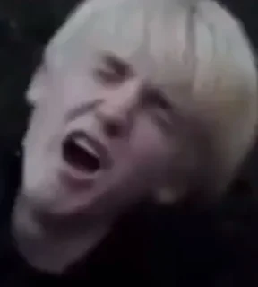 Sticker from Draco meme