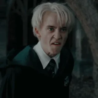 🖕 emoji Draco meme Telegram sticker 11 of 13