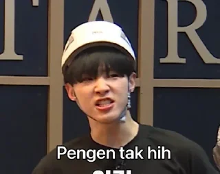 🤪 emoji Going Seventeen Ep. 36 (Svtside Out) @hOOMANTEEN Telegram sticker 6 of 34